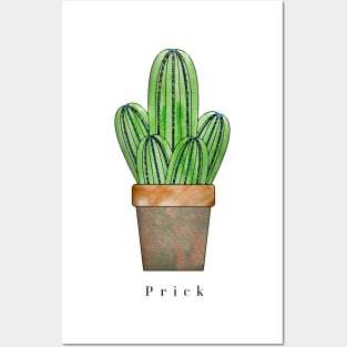 Cactus humor Posters and Art